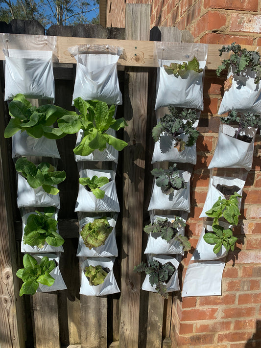 Full Garden System - 5 Vertical Growing Pocket Rolls (50 Pockets Total)