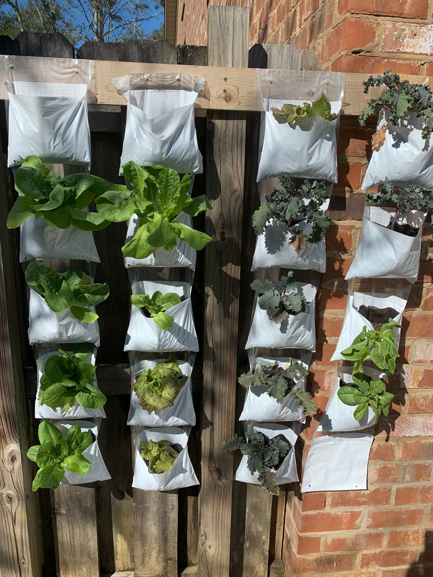 Full Garden System - 5 Vertical Growing Pocket Rolls (50 Pockets Total)