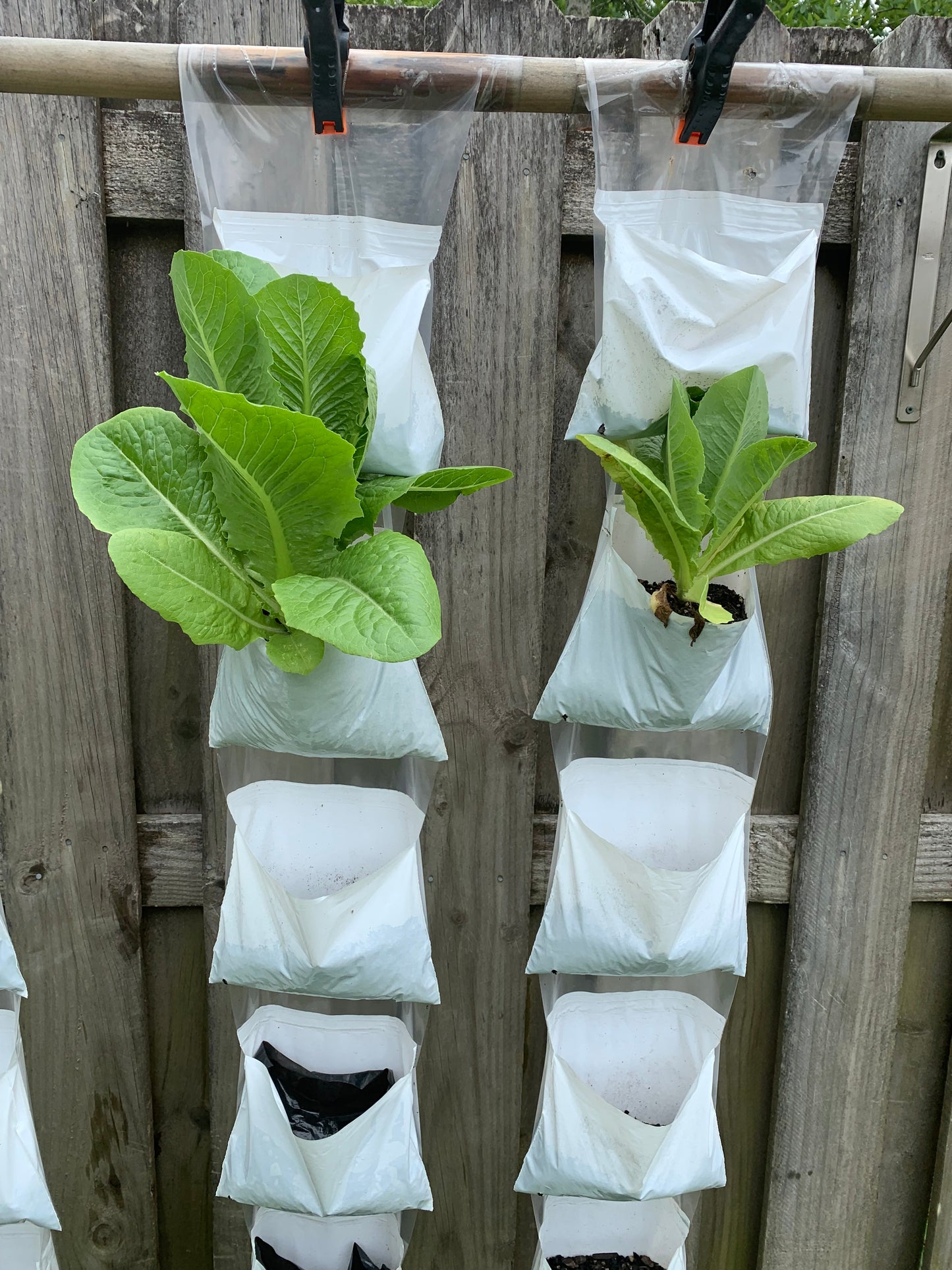 Full Garden System - 5 Vertical Growing Pocket Rolls (50 Pockets Total)